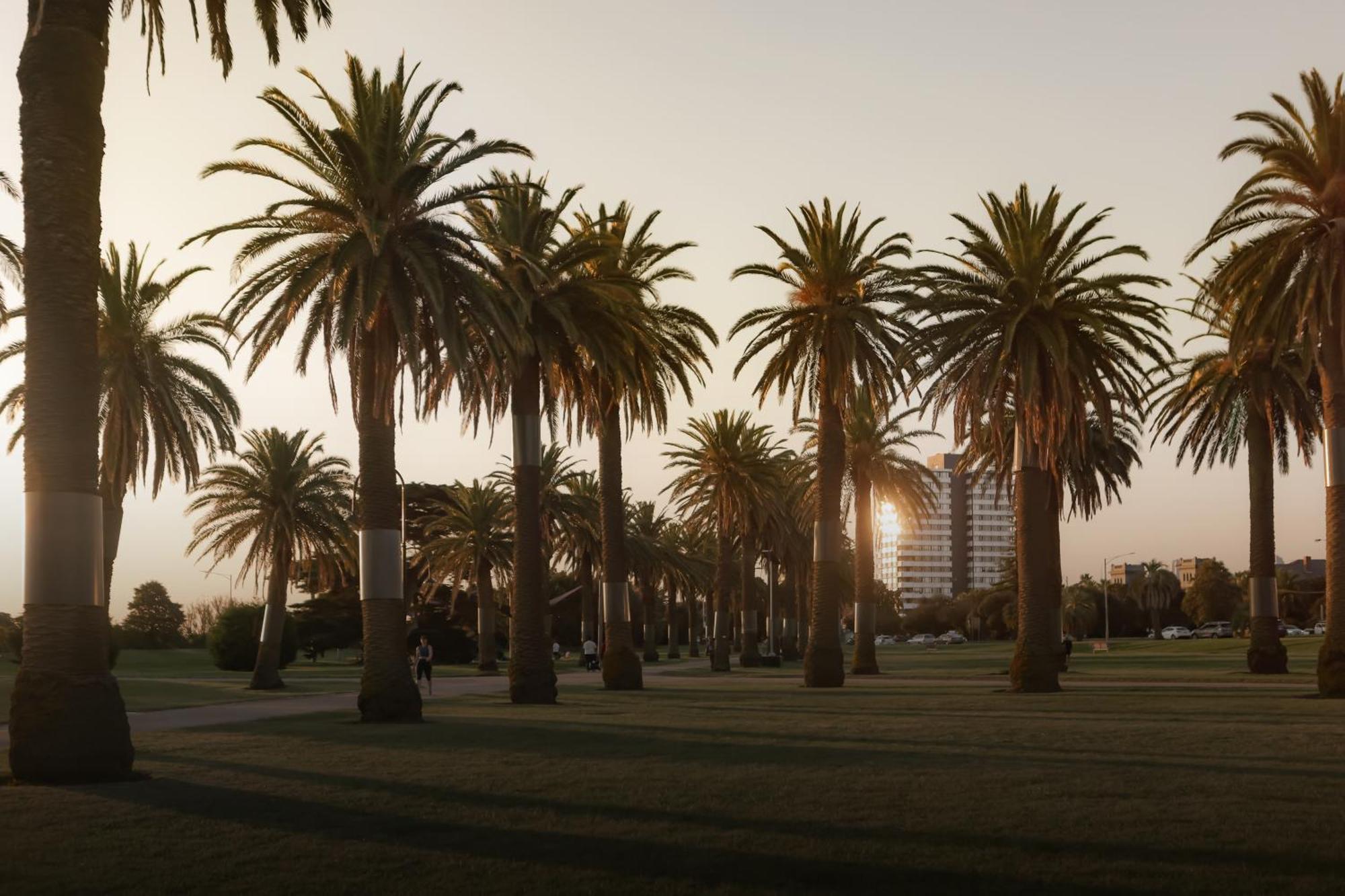 Mac St Kilda Blessington St By Melbourne Apartment Collection Екстериор снимка